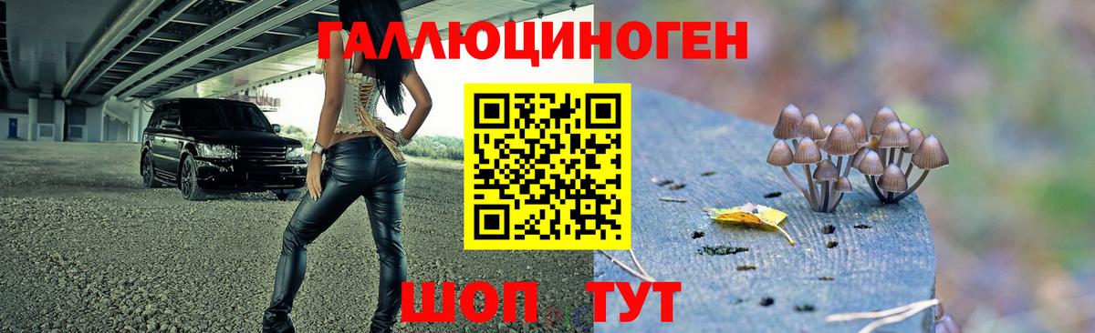 Псилоцибиновые грибы мухоморы  купить наркоту  Элиста  Вход с VPN 
